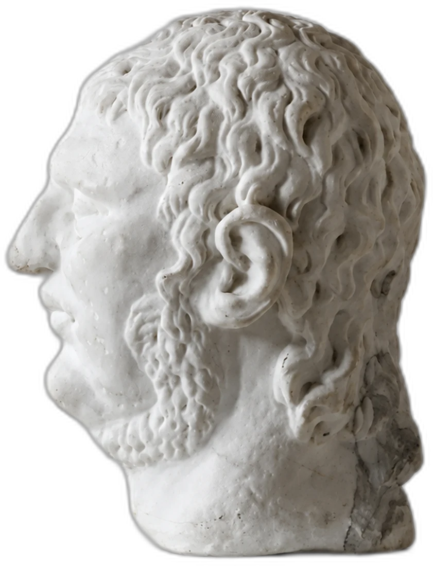 The bust of Nero in profile, cut out.